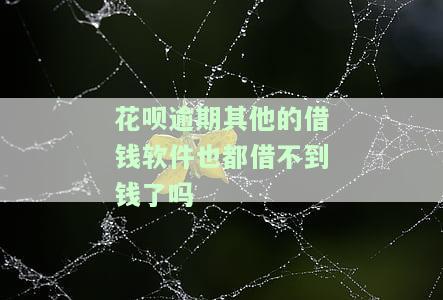 花呗逾期后，如何解决无法在其他贷款软件借款的问题？