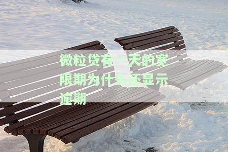 微粒贷：宽限一天仍显示逾期，如何解决？