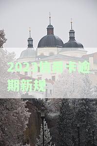 2023信用卡逾期新规政府网：全年政策梳理与解读