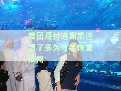 美团月付逾期还款后能继续使用吗？逾期多久恢复？可以再次借款吗？