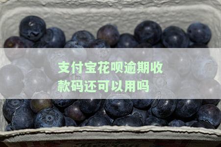 支付宝花呗逾期收款码是否还能使用？安全吗？能否将逾期收款转入银行卡？
