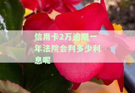 信用卡2万逾期一年法院会判多少利息呢