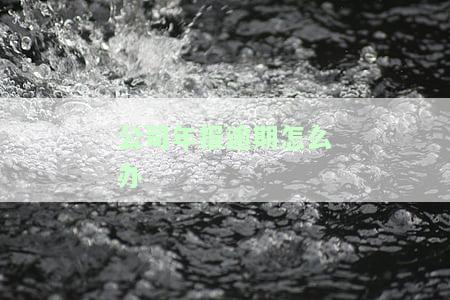 公司年报逾期处理办法及罚款标准