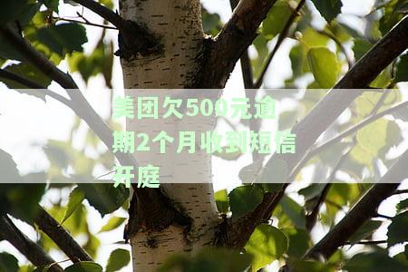 美团欠500元逾期2个月收到短信开庭通知：真的吗？