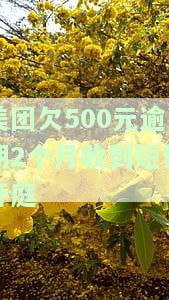 美团欠款17000逾期4个月发短信说要开庭是真的吗？