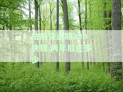 拍拍贷逾期280元，两年后还多少利息？逾期一年多会起诉吗？
