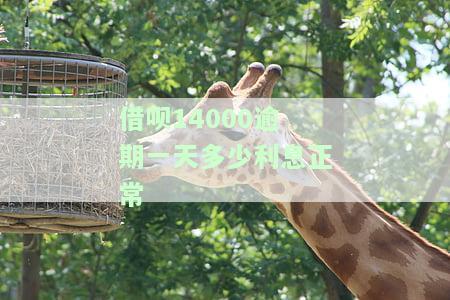 借呗逾期140040天的严重后果是什么？是否会面临法律诉讼？