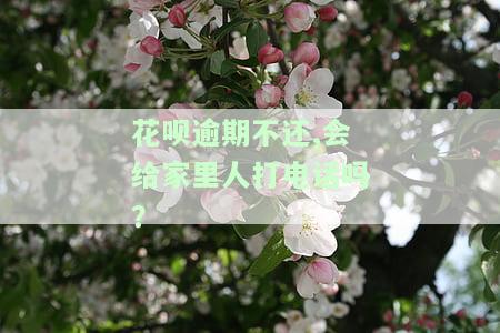 花呗逾期不还是否会电话联系通讯录人员？了解风险及应对措施