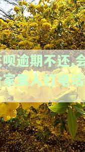 花呗逾期还不上会打电话给家人朋友催款吗？真的吗？安全吗？