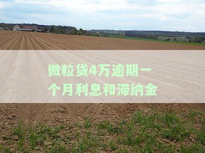 微粒贷4万逾期一个月利息和滞纳金多少？请看详细计算方法与金额
