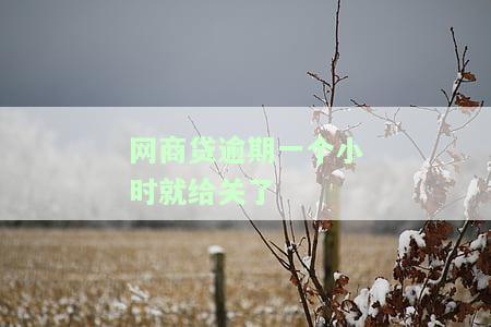 网商贷逾期一个小时就给关了-网商贷逾期一个小时还款就会被停止使用吗