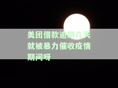 美团借款逾期20天就要立案处理？逾期多少金额会立案？分享真实逾期经历2023