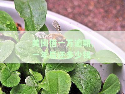 美团上欠1万元逾期3个月会被告知起诉风险吗？