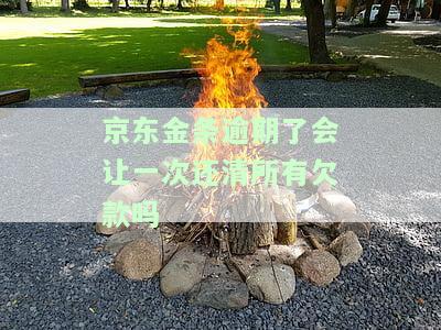 京东金条逾期：是否需一次性还清所有欠款？有何影响及处罚？