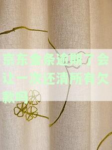 京东金条逾期后需一次性还清所有欠款吗？知乎讨论