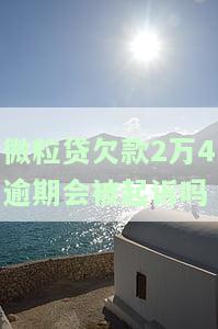 微粒贷欠款2万4逾期被起诉风险及解决办法