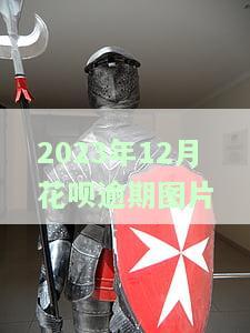 花呗12月欠账图片：真实、未还款、账单全包括，长度≤70字节