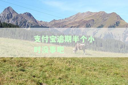 支付宝逾期半小时真的没事吗？解答你的疑惑