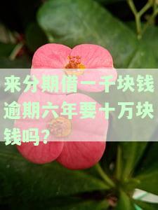 来分期借一千块逾期六年要十万？真相是什么？安全吗？逾期两年应还多少？