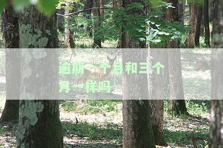 逾期一月和3月有区别吗？解释逾期一个月和逾期三个月的不同之处。逾期一个月应该如何处理？逾期一个月算几次逾期？什么是逾期一个月？