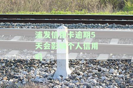 浦发信用卡逾期5天会影响个人信用吗？如何解决？