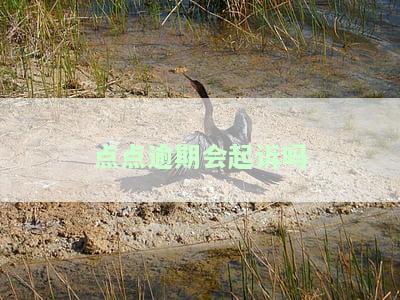点点逾期上征信吗？影响及后果解析