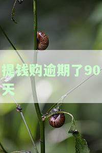 提钱购逾期了90天