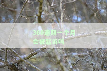 360逾期一个多月还款后能否继续使用？有何影响及恢复额度时间？