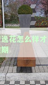 安逸花逾期多久上征信？逾期还款后果严重！