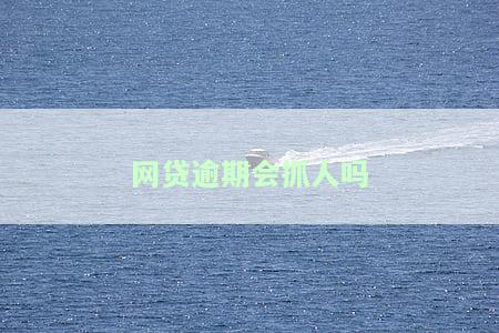 网贷逾期是否会被拘留？相关问题解答