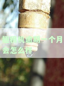 趣租机逾期是否会上门？影响及解决办法全解析
