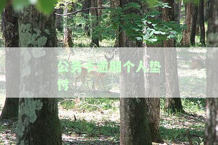 公务卡逾期个人垫付及责任问题：如何处理、单位担责与否、影响及解决办法