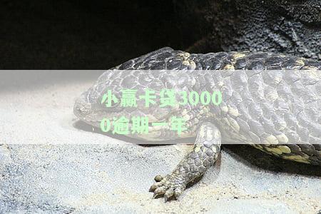 小赢卡贷逾期一年再被催收，是否仍需偿还？