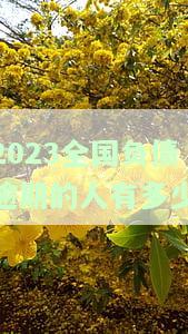 全国负债人数已达7亿,逾期率42%，债务问题凸显，如何应对？