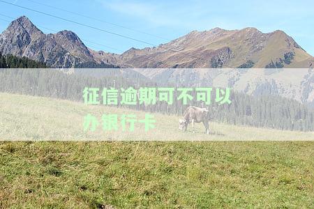 征信有逾期能否办银行卡及信用卡？