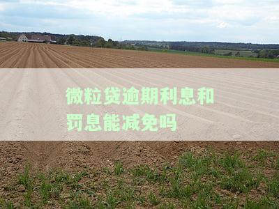 微粒贷逾期利息和罚息能减免吗？知乎用户分享经验与解决方案