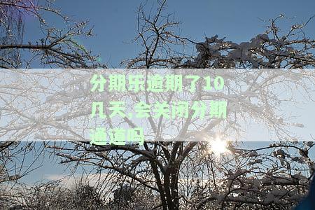分期乐逾期十天未还，需一次性结清？如何再使用？