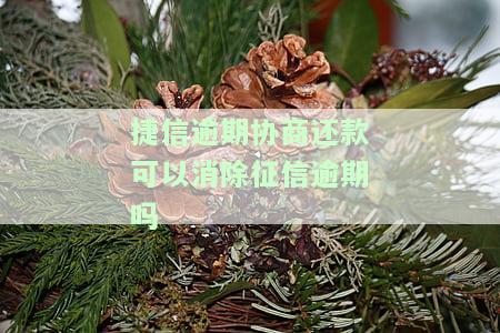 捷信逾期协商还款能否消除征信逾期？如何进行协商？