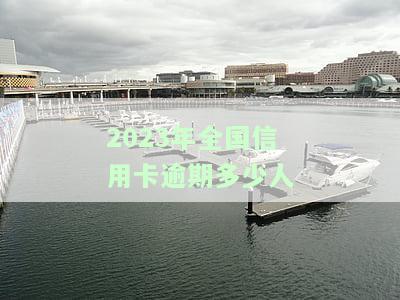 2020年全国信用卡逾期人数及可能被起诉的情况