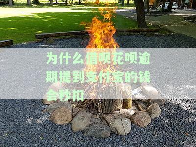 为什么借呗花呗逾期提到支付宝的钱会秒扣？是否会自动扣除银行卡或余额中的资金？