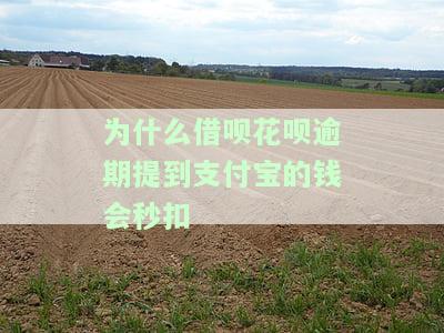 花呗借呗逾期会自动扣银行卡里的钱吗？安全吗？会从绑定卡扣吗？该怎么办？
