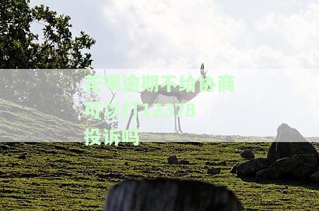 花呗逾期不给协商可以打12378投诉吗？真的有用吗？