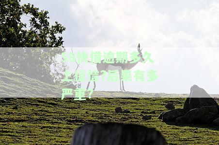 58快借逾期多久会严重影响征信？逾期一天的影响及最迟到账时间