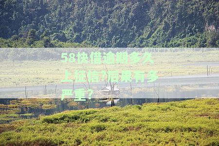 58快借一般多久下款？全程解析到账时间与审批流程