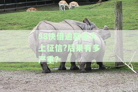 58快借逾期多久上征信?后果有多严重?
