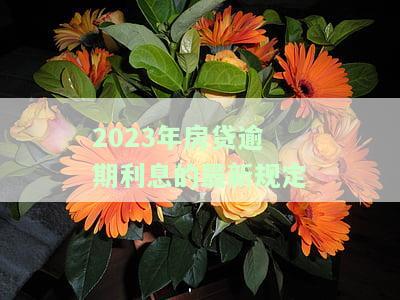 2023年房贷逾期利息最新规定：解读与影响