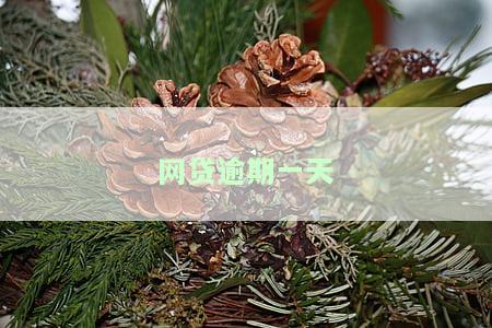 网贷逾期一天后还款有影响吗？如何申请停息挂账？网贷欠款达到多少会坐牢？逾期多长时间会被列入失信人名单？网贷逾期一天忘记还款怎么办？