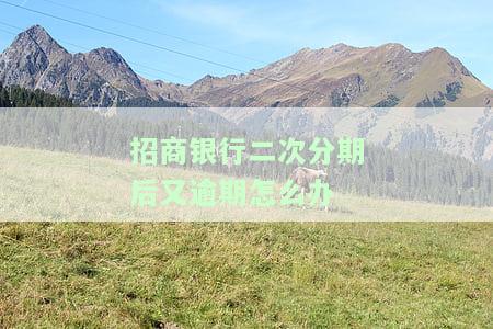 招商银行二次分期后又逾期怎么办-招商银行二次分期后又逾期怎么办呢