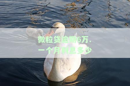 微粒贷逾期欠6万可能被判几年？逾期后果及刑事责任解析