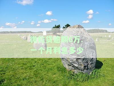 微粒贷逾期6万.一个月利息多少-微粒贷逾期6万.一个月利息多少钱